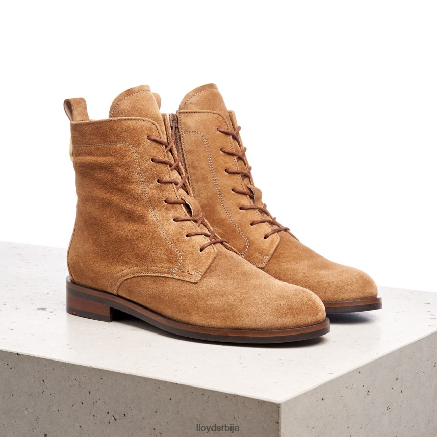 глежњаче Жене D0806T959 ципеле браон LLOYD