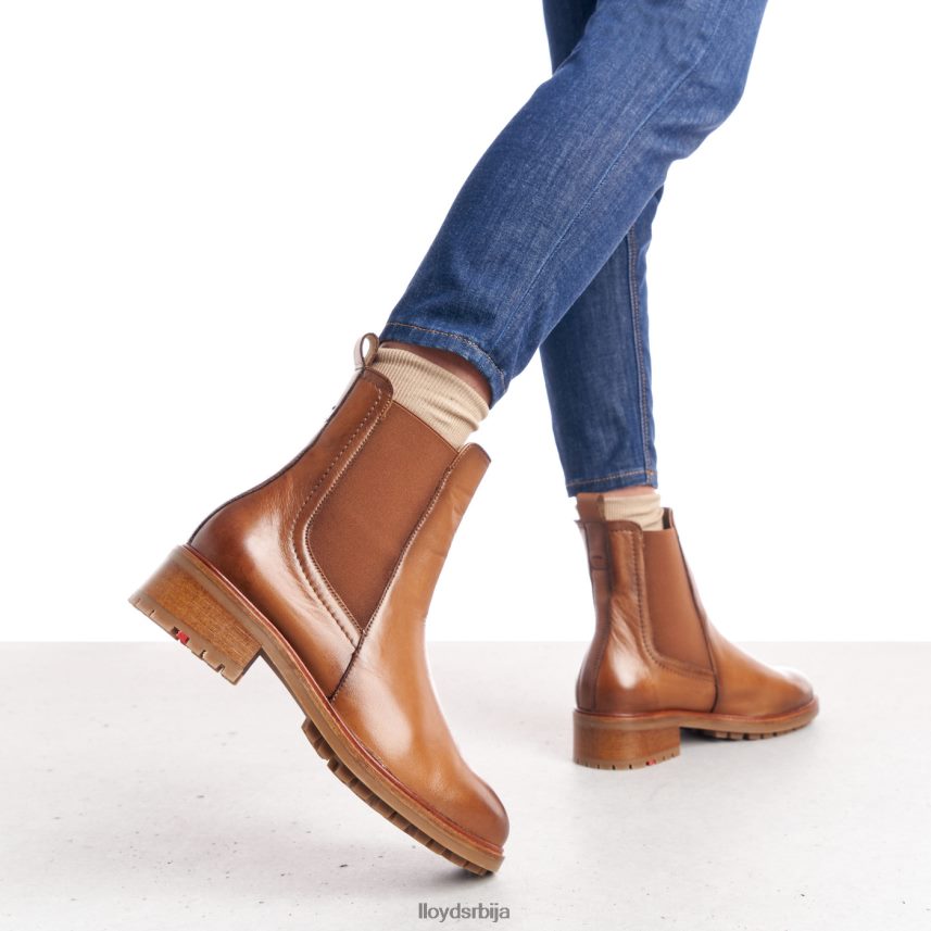 глежњаче од глатке коже Жене D0806T964 ципеле браон LLOYD