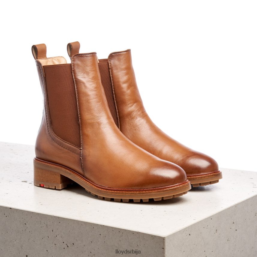 глежњаче од глатке коже Жене D0806T964 ципеле браон LLOYD