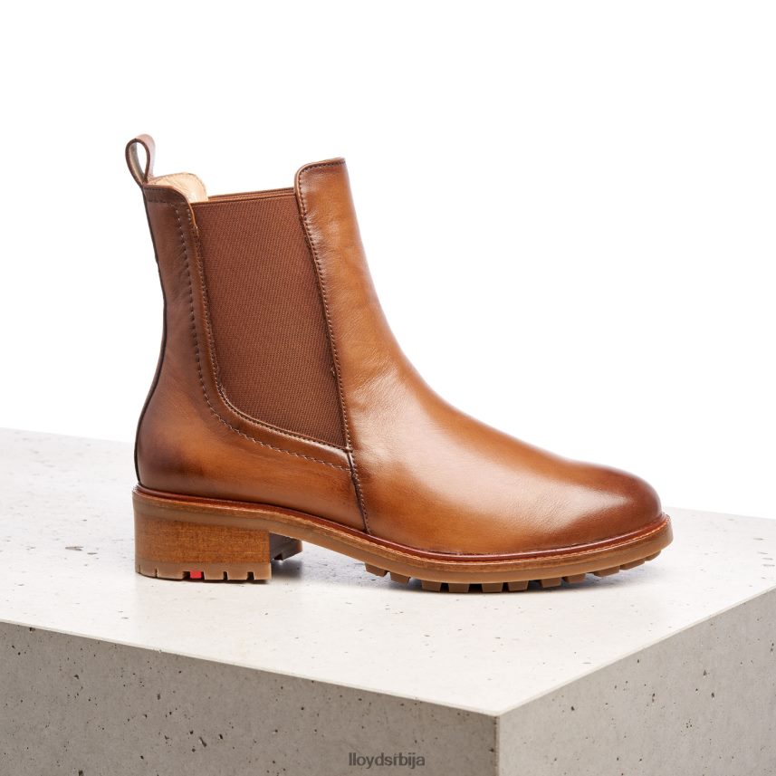 глежњаче од глатке коже Жене D0806T964 ципеле браон LLOYD