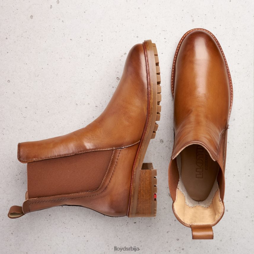 глежњаче од глатке коже Жене D0806T964 ципеле браон LLOYD