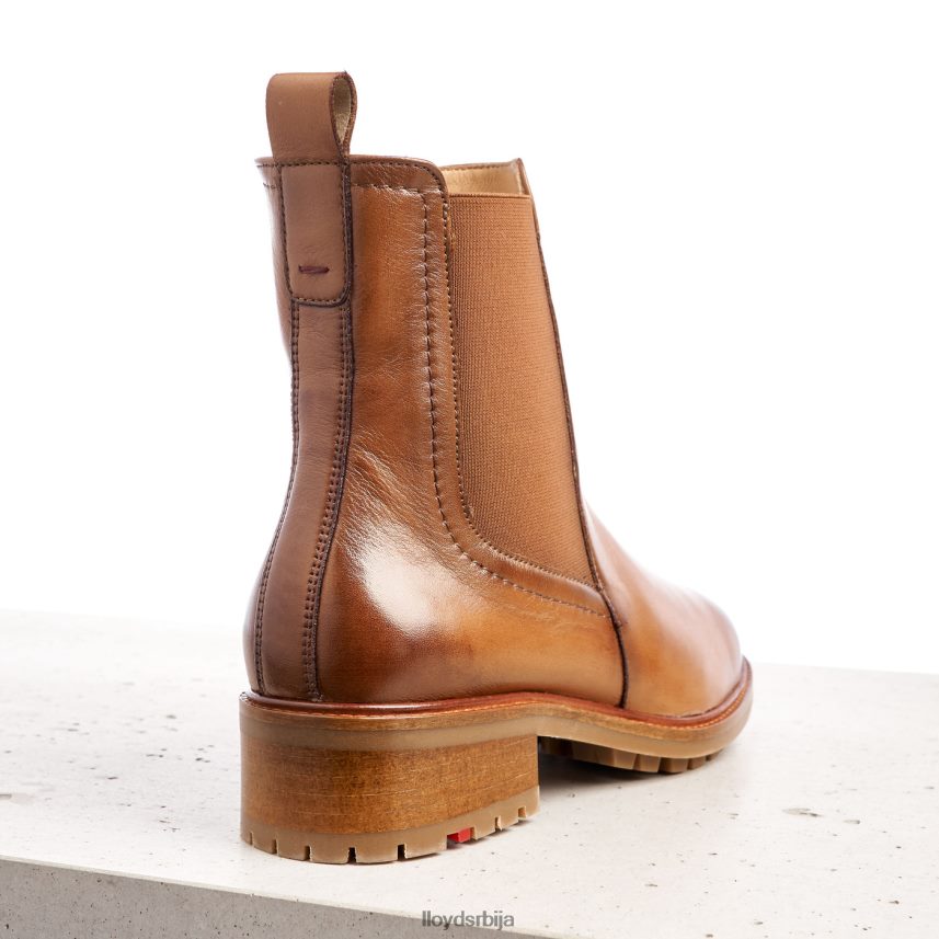 глежњаче од глатке коже Жене D0806T964 ципеле браон LLOYD