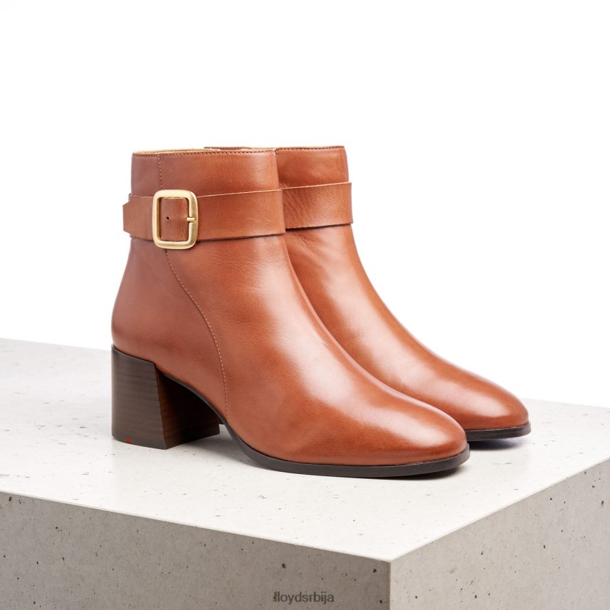 глежњаче од глатке коже Жене D0806T968 ципеле браон LLOYD