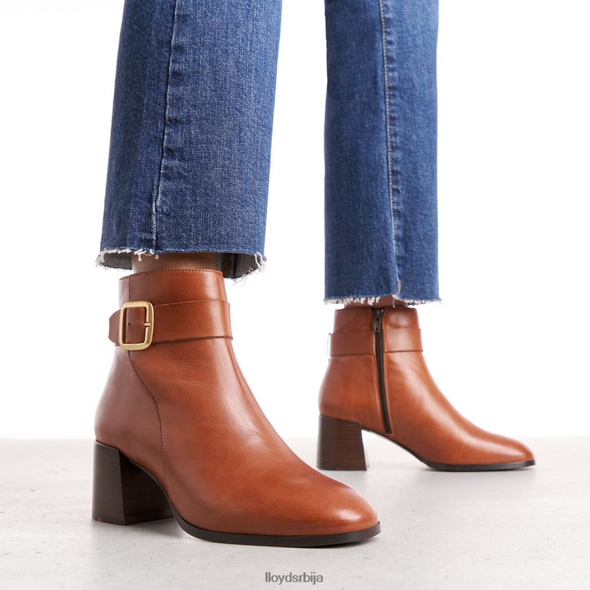 глежњаче од глатке коже Жене D0806T968 ципеле браон LLOYD