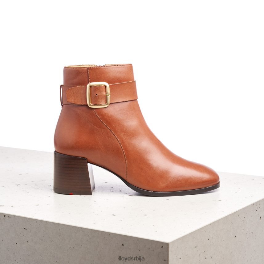 глежњаче од глатке коже Жене D0806T968 ципеле браон LLOYD