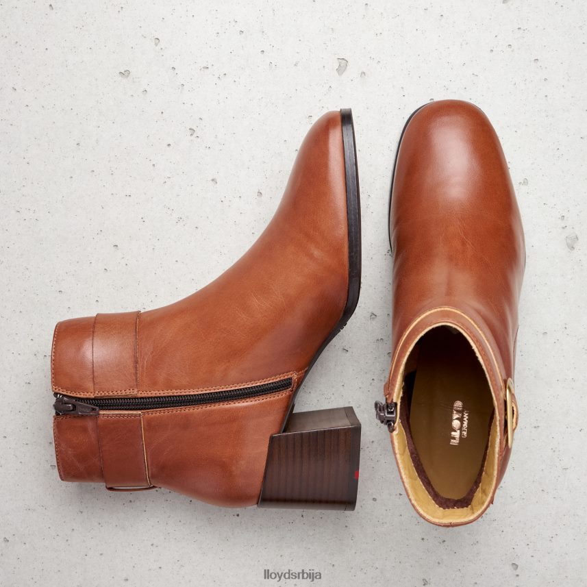 глежњаче од глатке коже Жене D0806T968 ципеле браон LLOYD