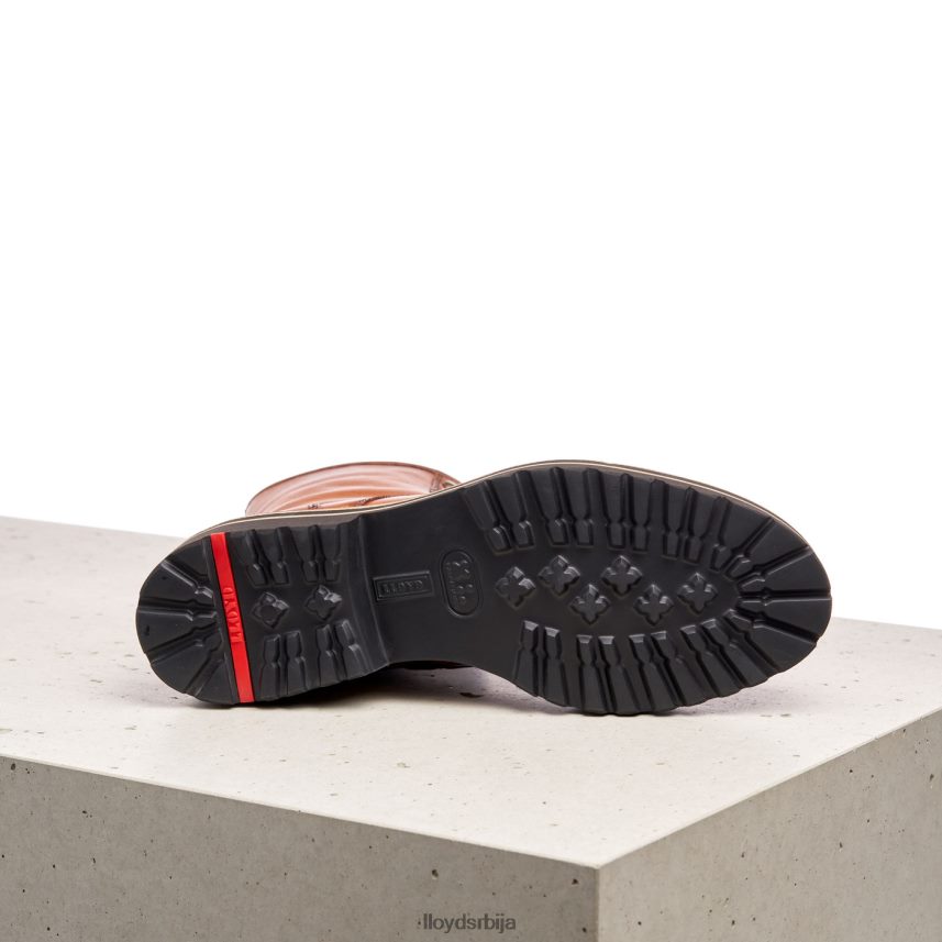 глежњаче од глатке коже Жене D0806T970 ципеле браон LLOYD