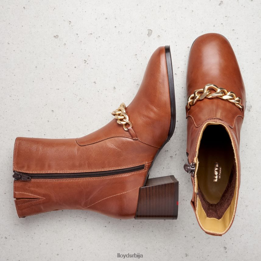 кожне глежњаче Жене D0806T985 ципеле браон LLOYD