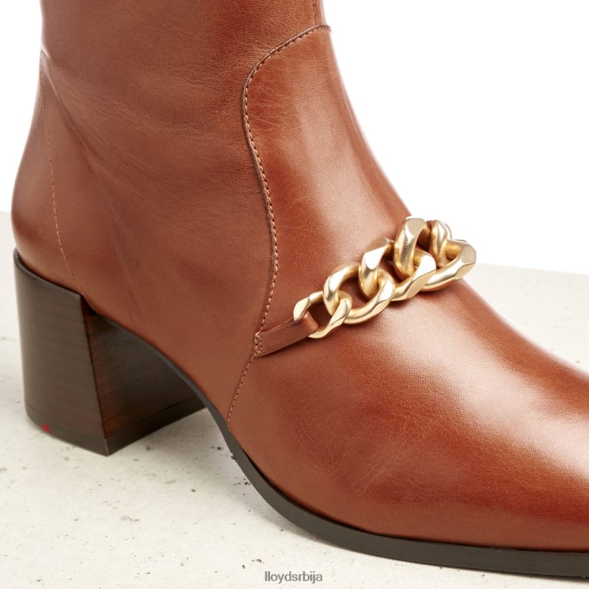 кожне глежњаче Жене D0806T985 ципеле браон LLOYD