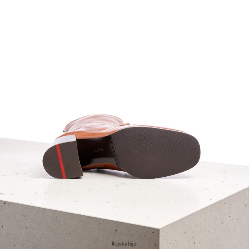 кожне глежњаче Жене D0806T985 ципеле браон LLOYD