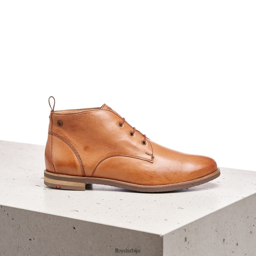 глежњаче на пертлање Жене D0806T994 ципеле браон LLOYD