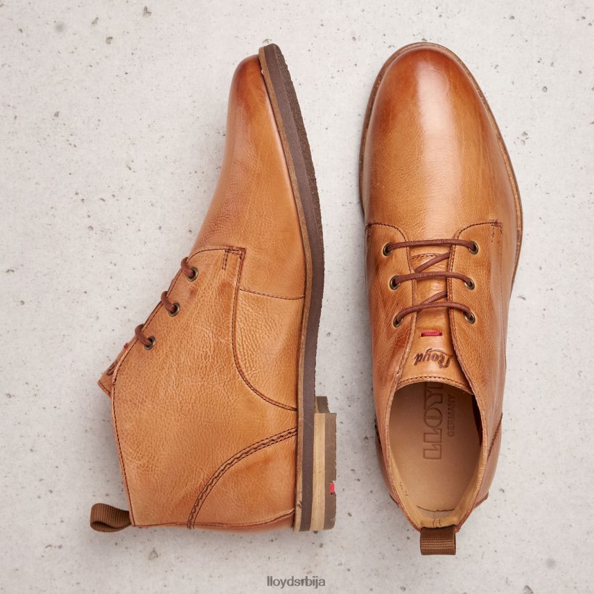 глежњаче на пертлање Жене D0806T994 ципеле браон LLOYD