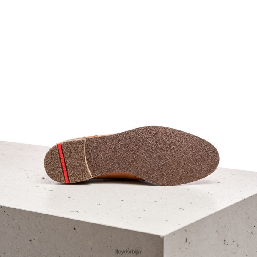 глежњаче на пертлање Жене D0806T994 ципеле браон LLOYD