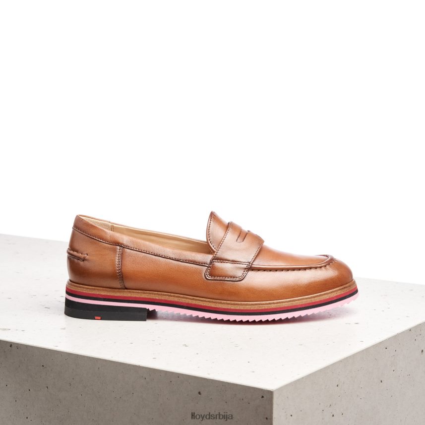 глатка кожна папуча Жене D0806T1045 ципеле браон LLOYD