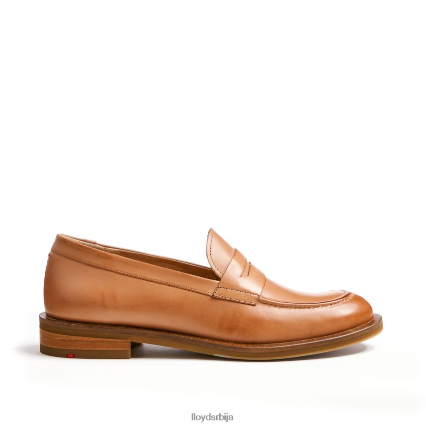 кожна папуча Жене D0806T1077 ципеле браон LLOYD