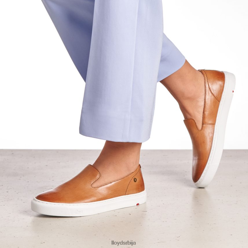 кожна папуча Жене D0806T1349 ципеле браон LLOYD