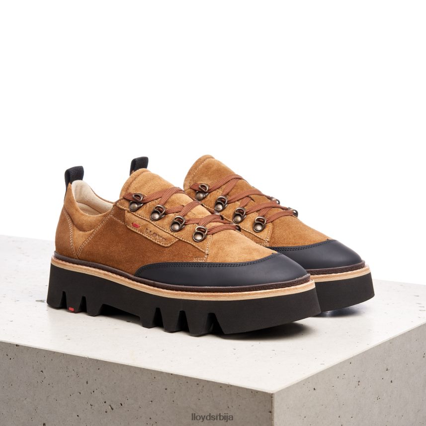 глатке кожне патике Жене D0806T1176 ципеле браон LLOYD