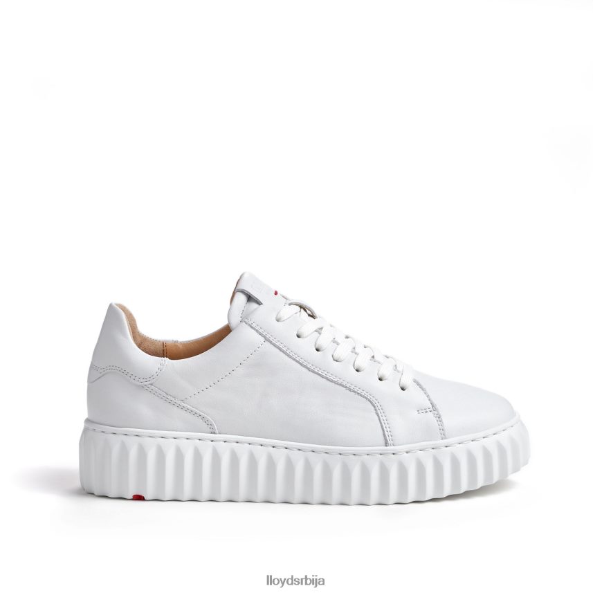 ниске патике Жене D0806T761 ципеле бео LLOYD