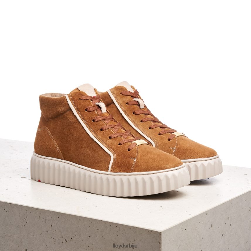 високе патике Жене D0806T771 ципеле браон LLOYD