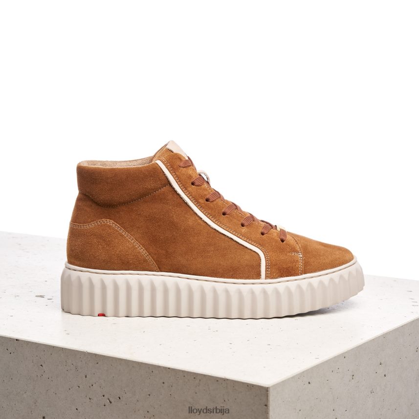 високе патике Жене D0806T771 ципеле браон LLOYD