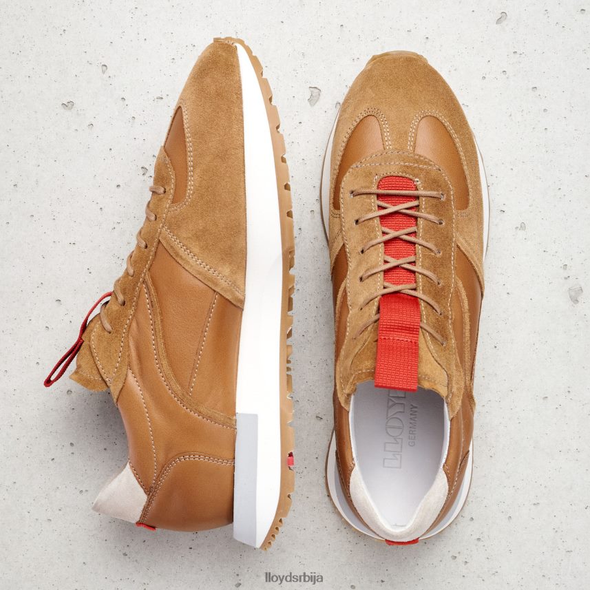 ниске патике Жене D0806T772 ципеле комбиновано LLOYD