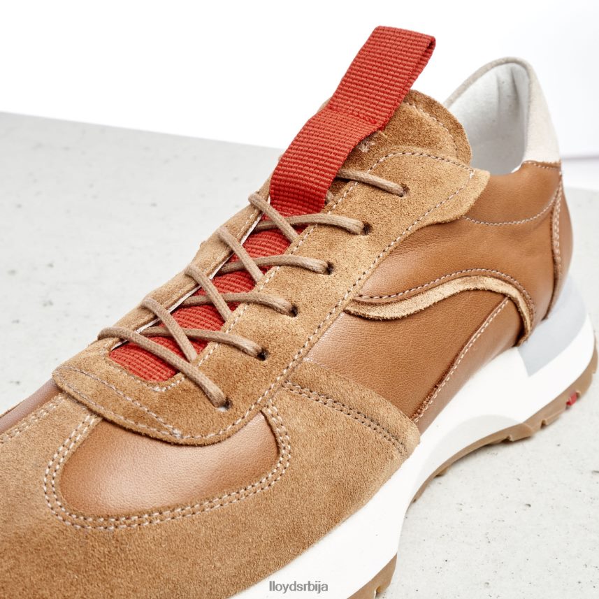 ниске патике Жене D0806T772 ципеле комбиновано LLOYD