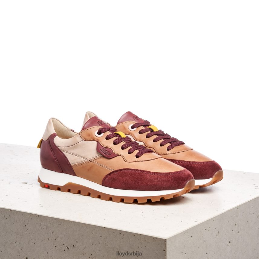 ниске патике Жене D0806T774 ципеле комбиновано LLOYD