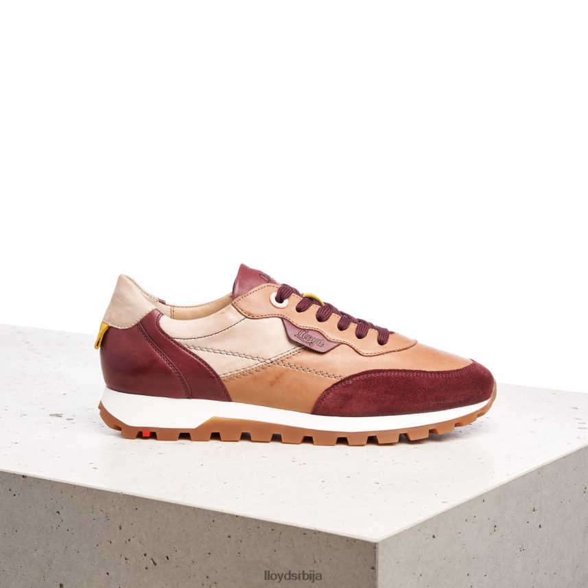 ниске патике Жене D0806T774 ципеле комбиновано LLOYD