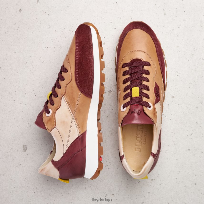 ниске патике Жене D0806T774 ципеле комбиновано LLOYD