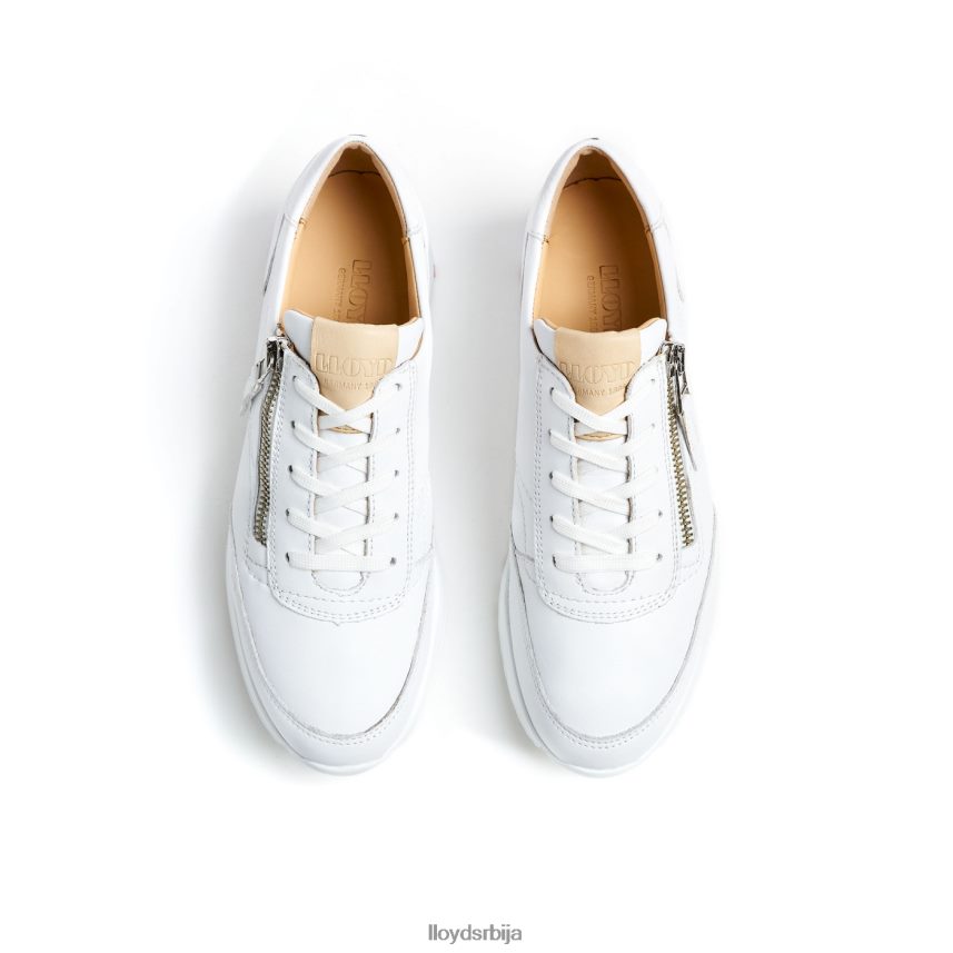 квалитетне ниске патике Жене D0806T784 ципеле бео LLOYD