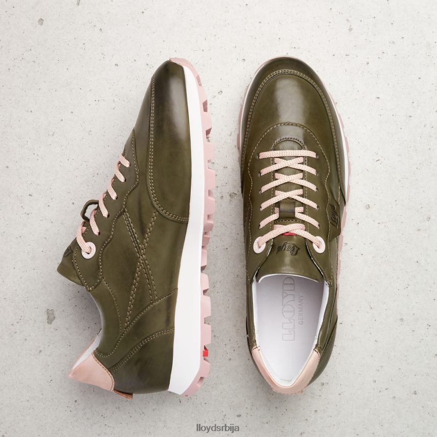 ниске кожне патике Жене D0806T801 ципеле зелен LLOYD