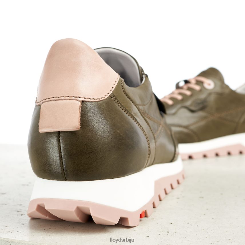 ниске кожне патике Жене D0806T801 ципеле зелен LLOYD