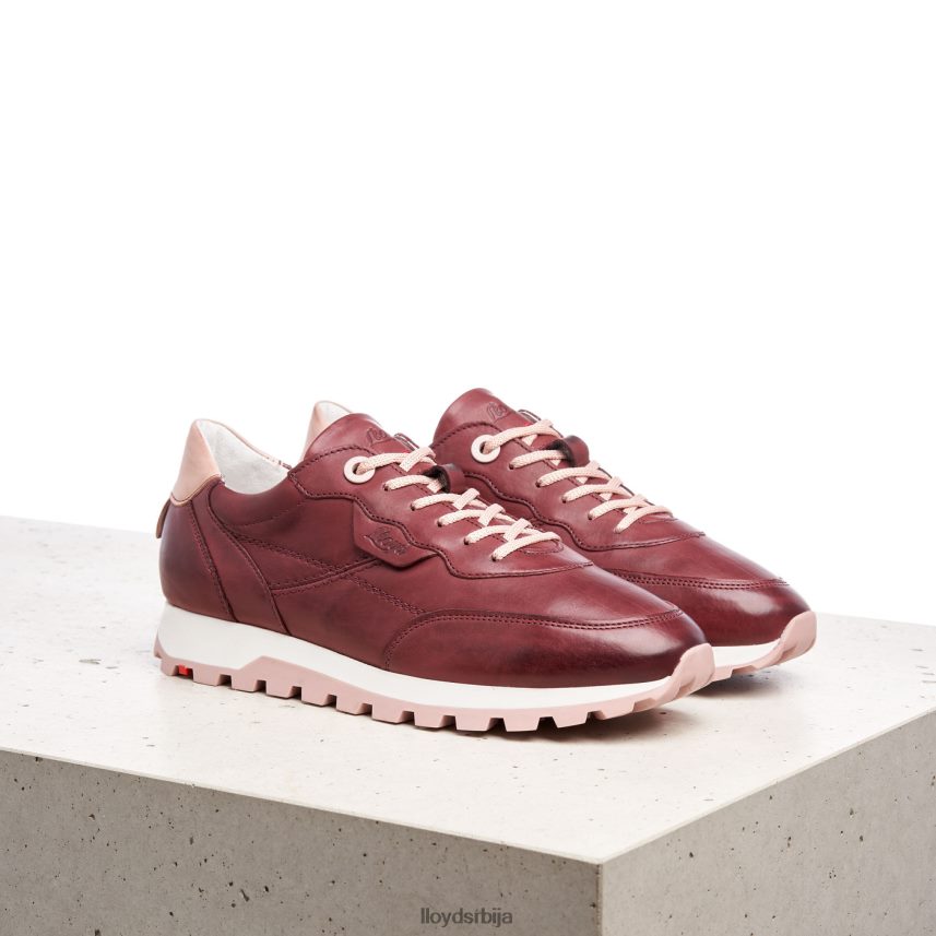 ниске патике Жене D0806T803 ципеле црвена LLOYD