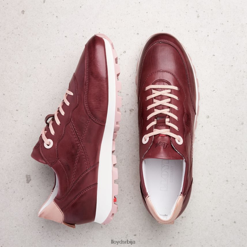 ниске патике Жене D0806T803 ципеле црвена LLOYD