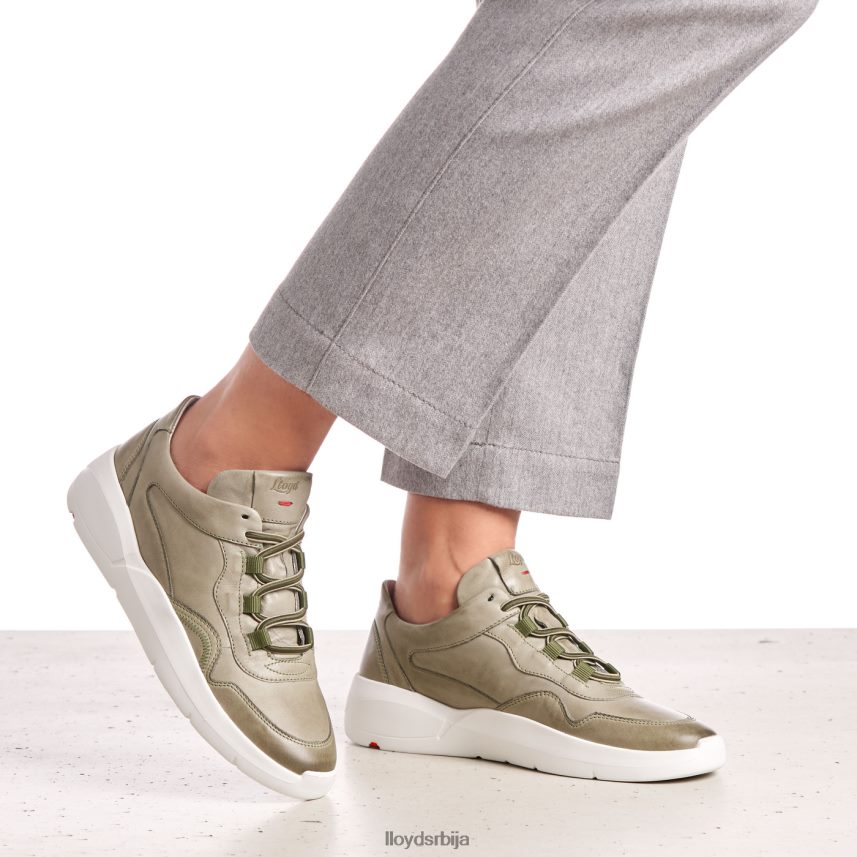 ниске кожне патике Жене D0806T830 ципеле зелен LLOYD