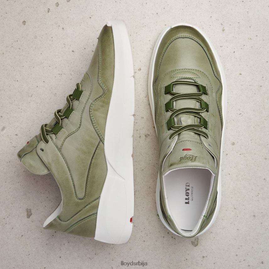 ниске кожне патике Жене D0806T830 ципеле зелен LLOYD