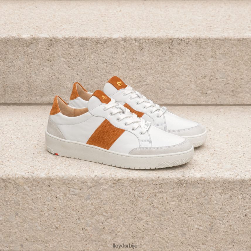 квалитетне ниске патике Жене D0806T831 ципеле бео LLOYD