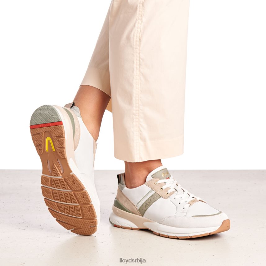 патике од глатке коже Жене D0806T840 ципеле комбиновано LLOYD