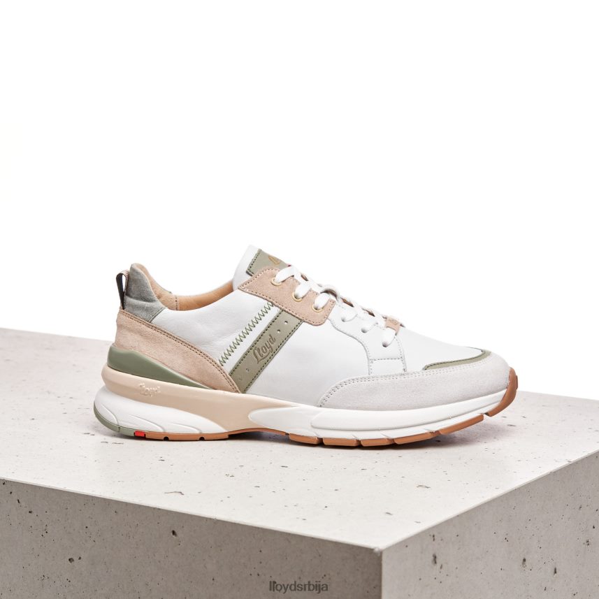 патике од глатке коже Жене D0806T840 ципеле комбиновано LLOYD