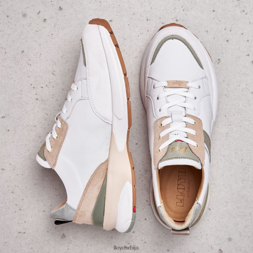 патике од глатке коже Жене D0806T840 ципеле комбиновано LLOYD