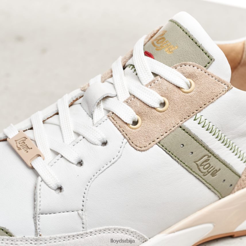 патике од глатке коже Жене D0806T840 ципеле комбиновано LLOYD