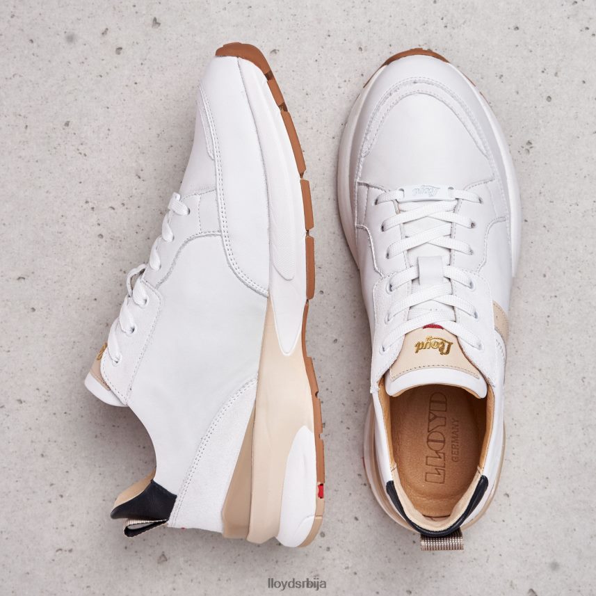 патике од глатке коже Жене D0806T846 ципеле комбиновано LLOYD