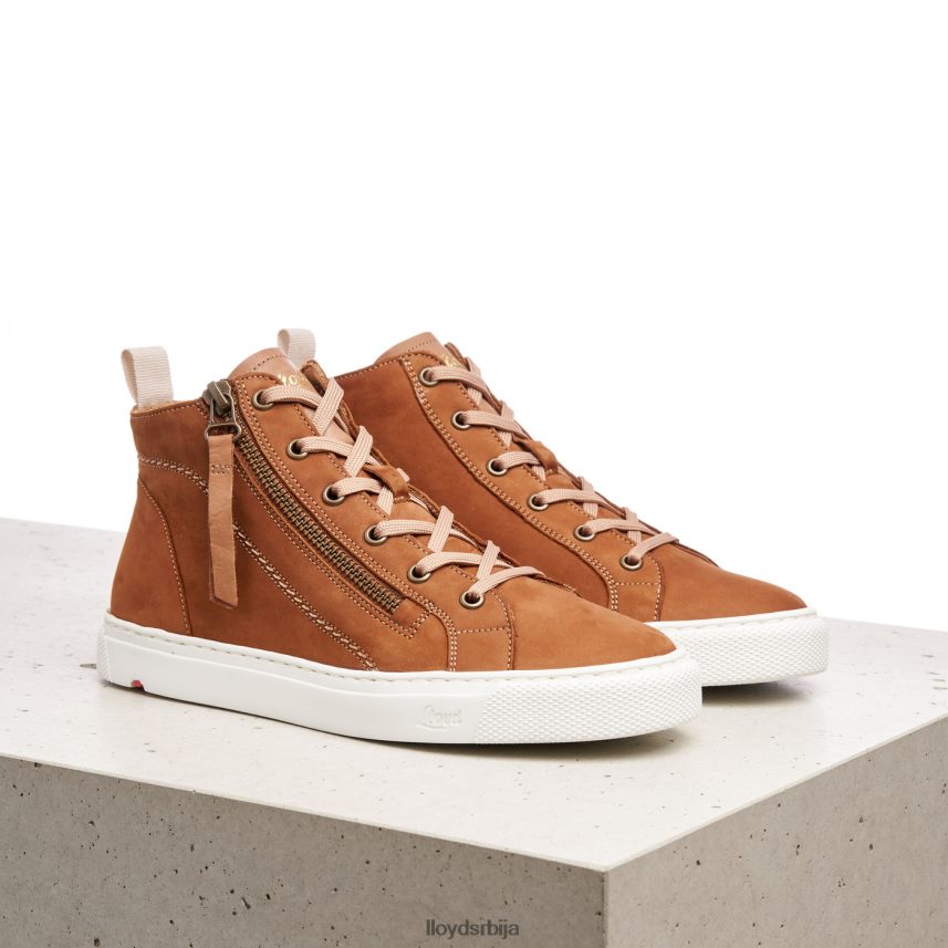 високе патике Жене D0806T859 ципеле браон LLOYD