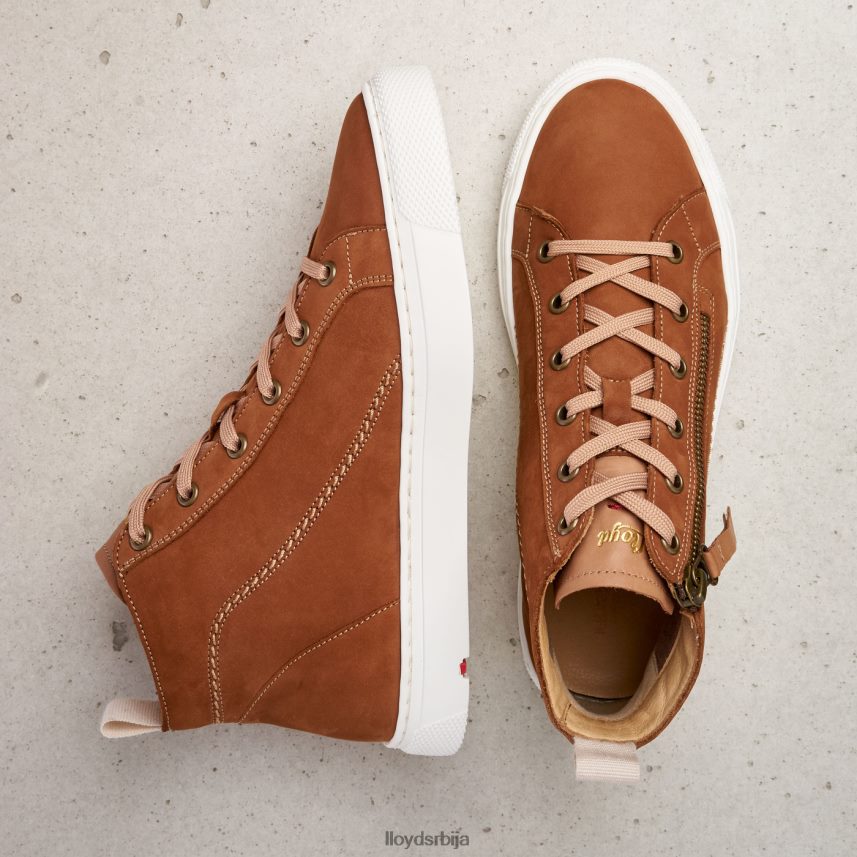 високе патике Жене D0806T859 ципеле браон LLOYD