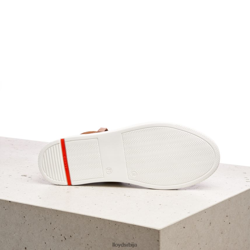 високе патике Жене D0806T859 ципеле браон LLOYD