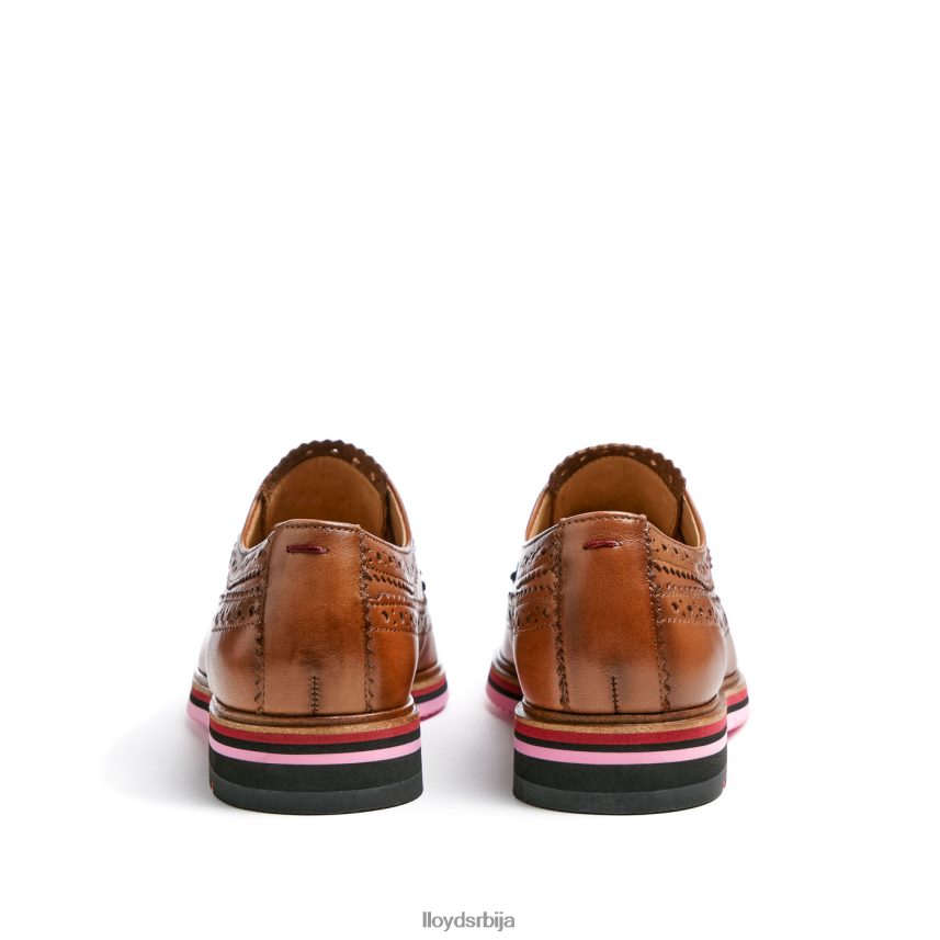 кожне полуципеле са чипком Жене D0806T1048 ципеле браон LLOYD