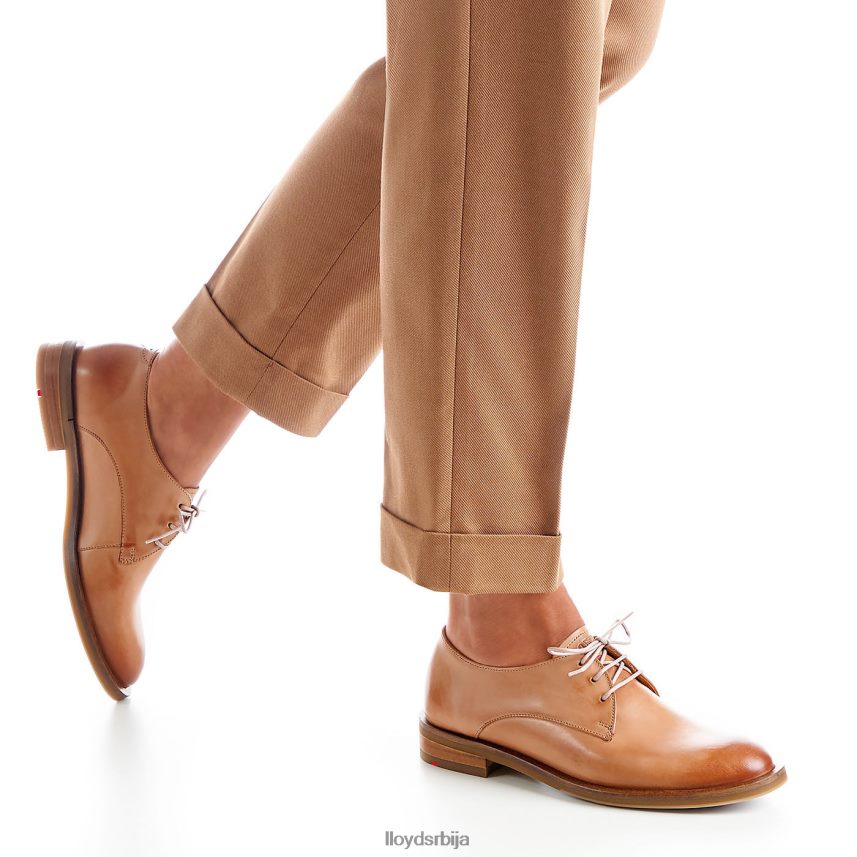 пертле полуципеле Жене D0806T1056 ципеле браон LLOYD