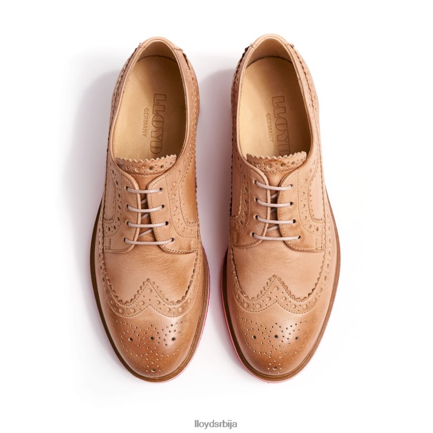 пертле полуципеле Жене D0806T1063 ципеле браон LLOYD