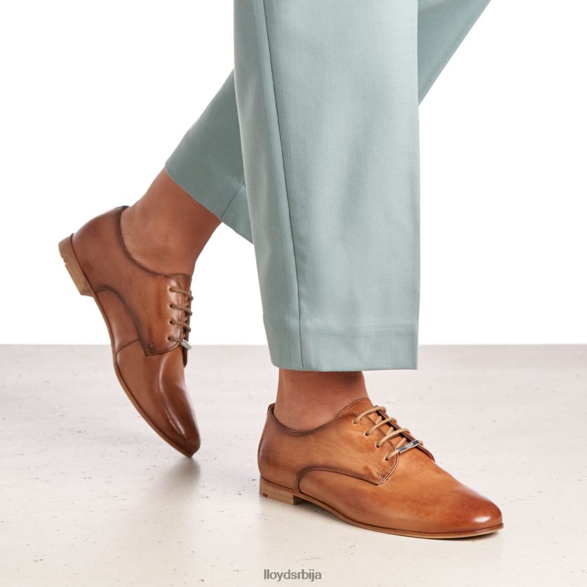 полуципеле од глатке коже са чипком Жене D0806T1067 ципеле браон LLOYD