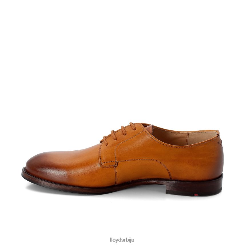 пертле полуципеле Жене D0806T1090 ципеле браон LLOYD